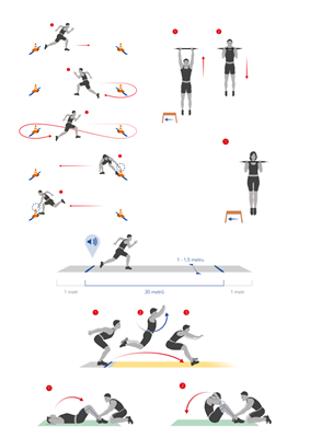 Testování tělesné zdatnosti žáků základních a středních škol